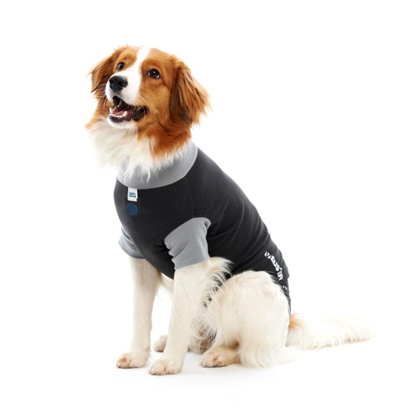 BUSTER Body Suit Classic for Dogs with CalmDown by KRUUSE® Button Holder, 63 cm, size XL, black/grey BUSTER Body Suit Classic for Dogs with CalmDown by KRUUSE® Button Holder, 63 cm, size XL, black/grey