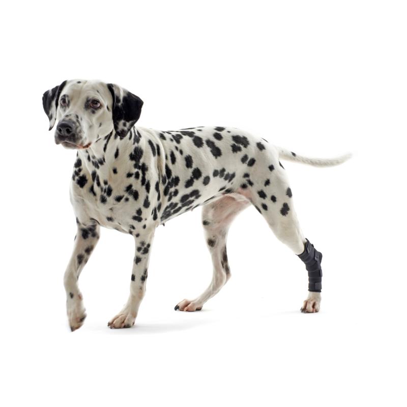 KRUUSE Rehab Hock Protector, XS KRUUSE Rehab Hock Protector, XS