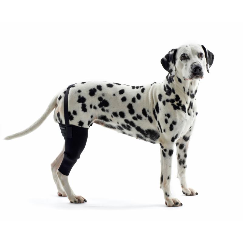 KRUUSE Rehab Knee Protector, XXXS, right KRUUSE Rehab Knee Protector, XXXS, right