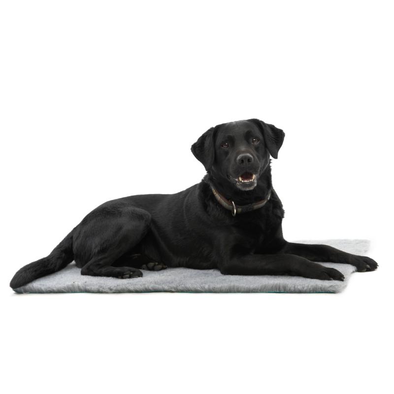KRUUSE Vet Bed, grey, 100 x 75 cm KRUUSE Vet Bed, grey, 100 x 75 cm