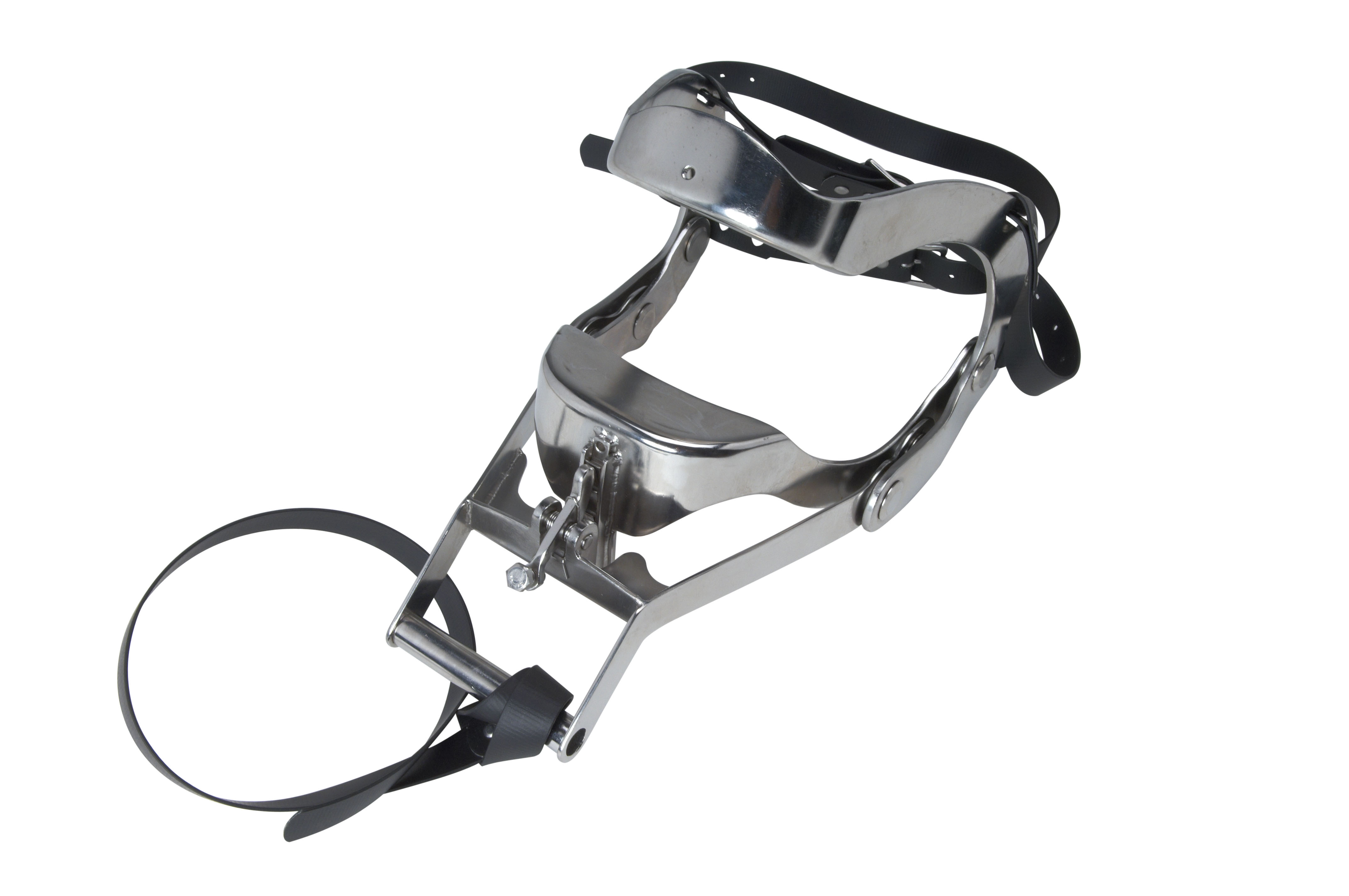 EQUIVET Meister Speculum