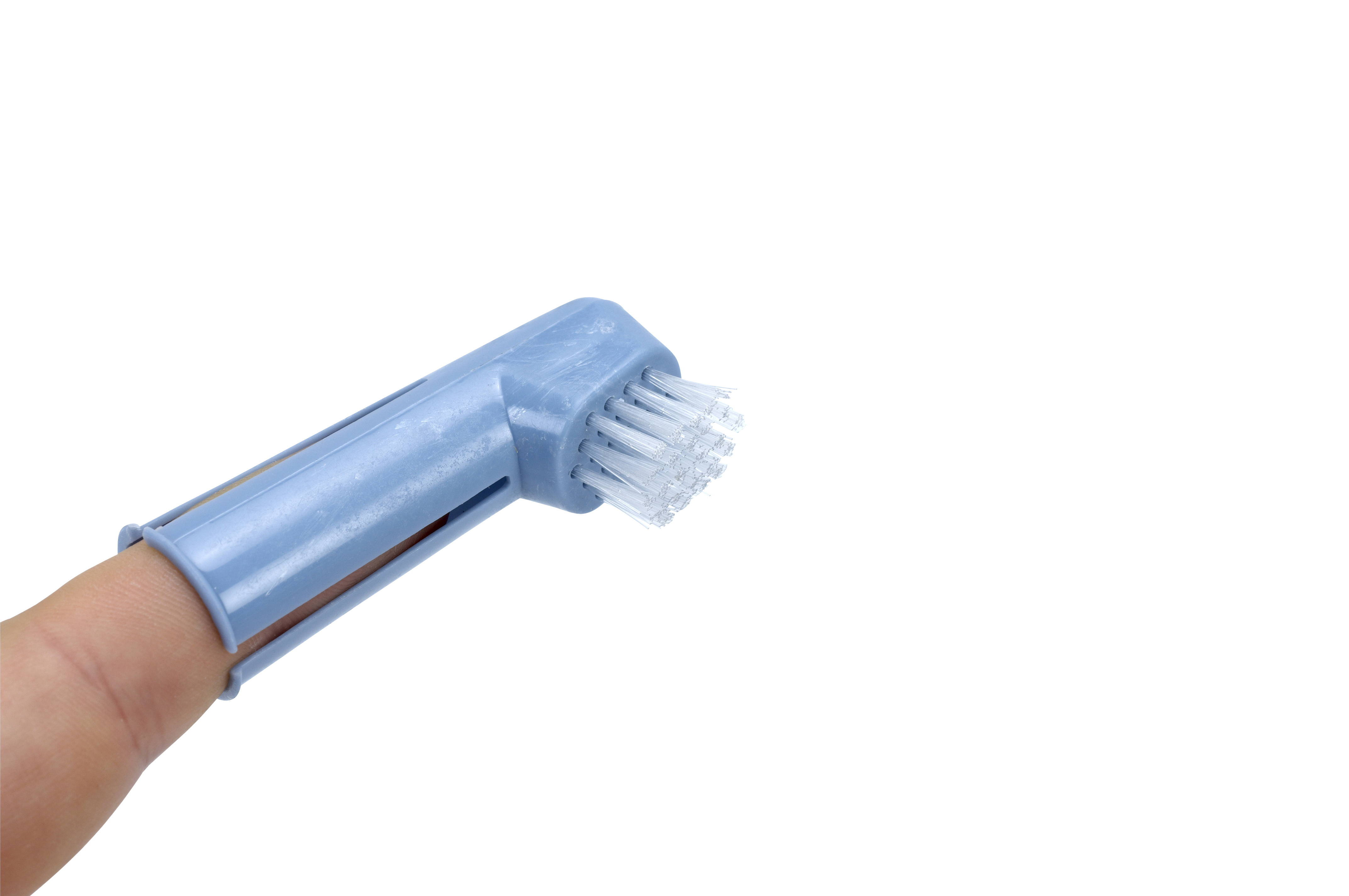 BUSTER dental care set, 2 brushes