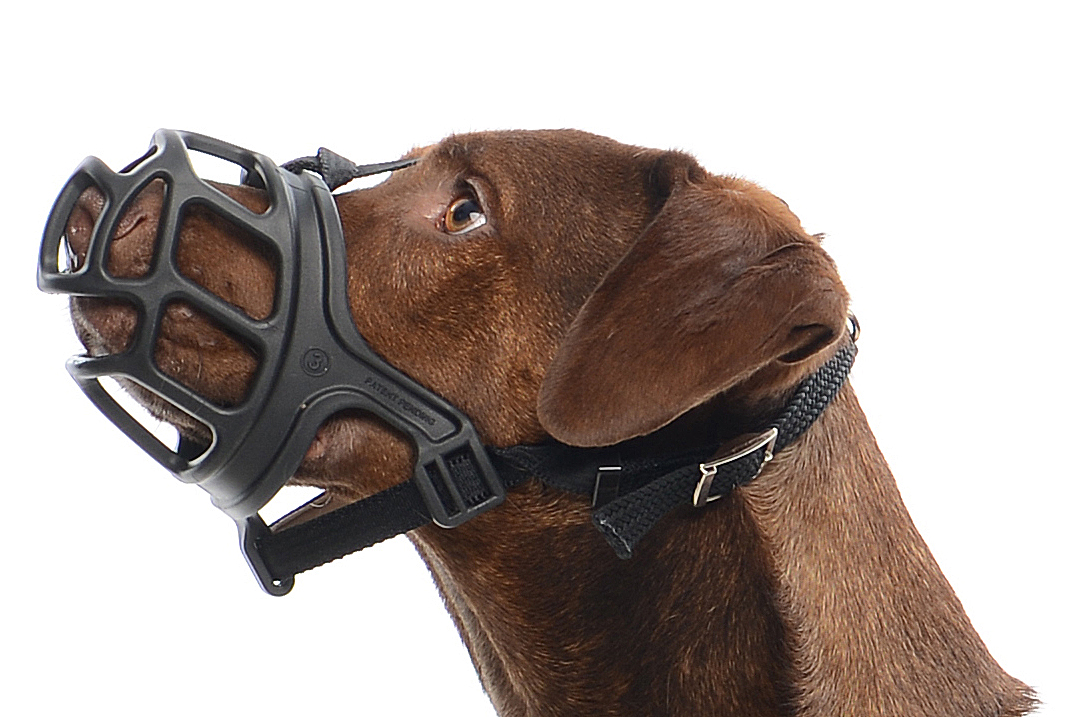 buster-extreme-dog-muzzle-size-4