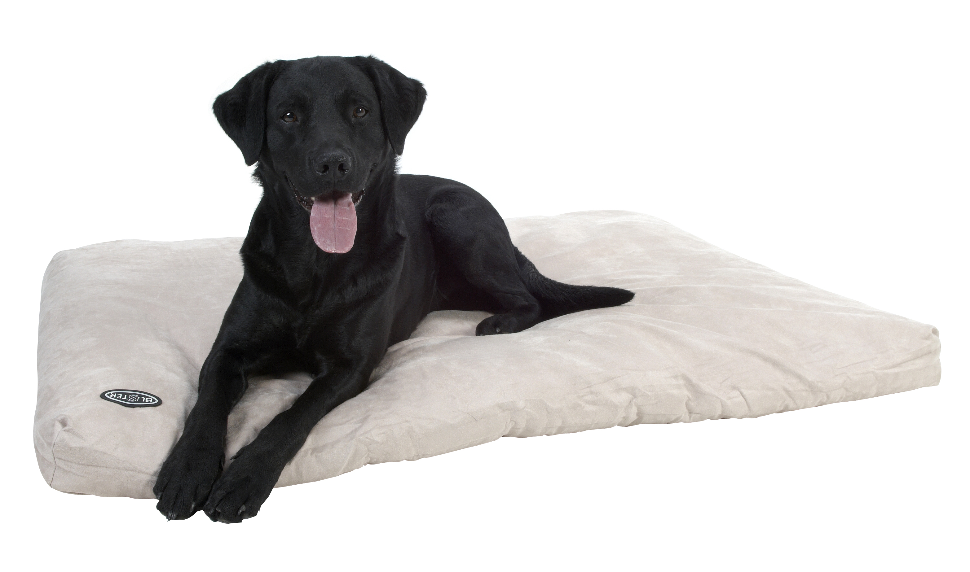 BUSTER Memory Foam dog bed 100 x 70 cm beige