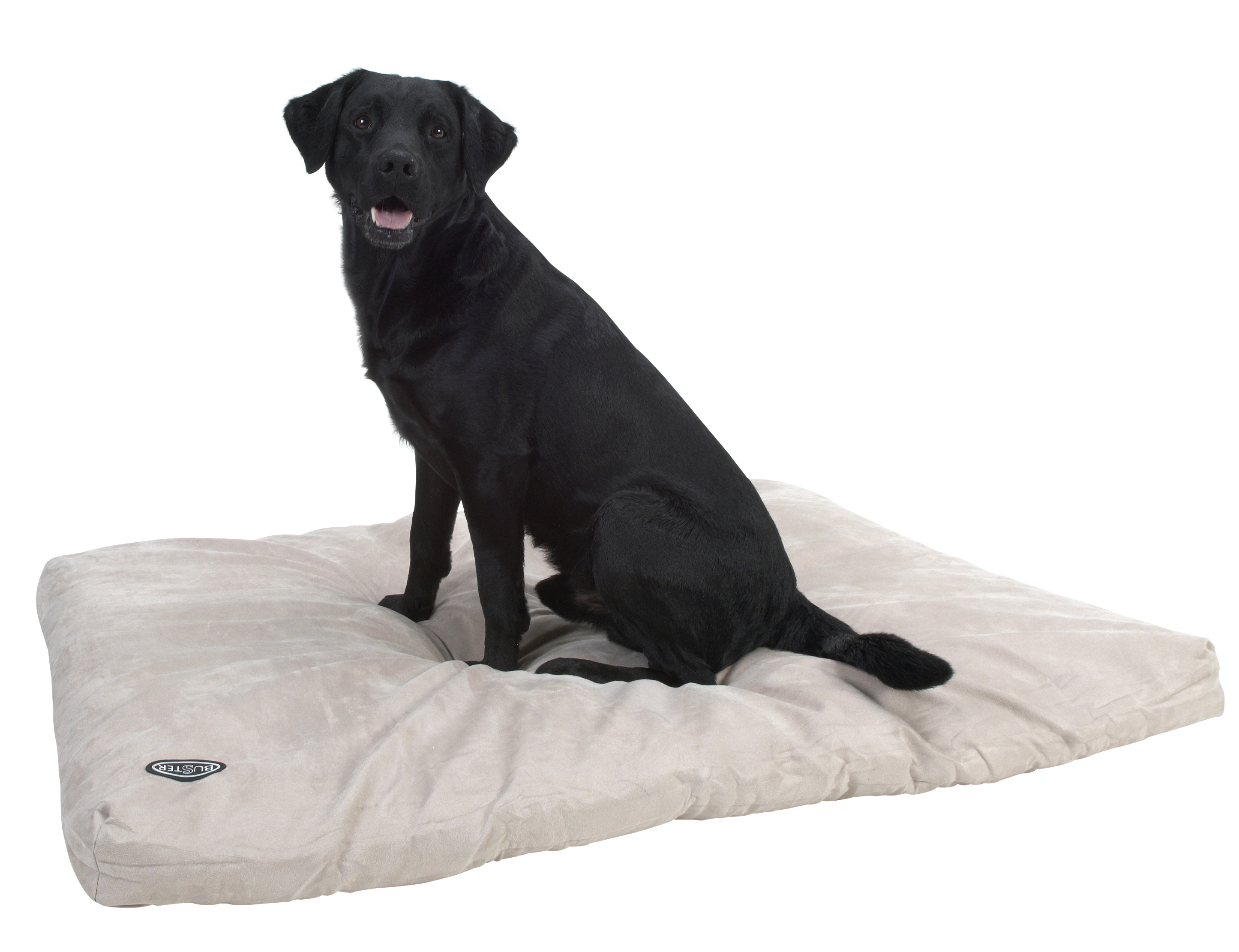 BUSTER Memory Foam dog bed 120 x 100 cm beige