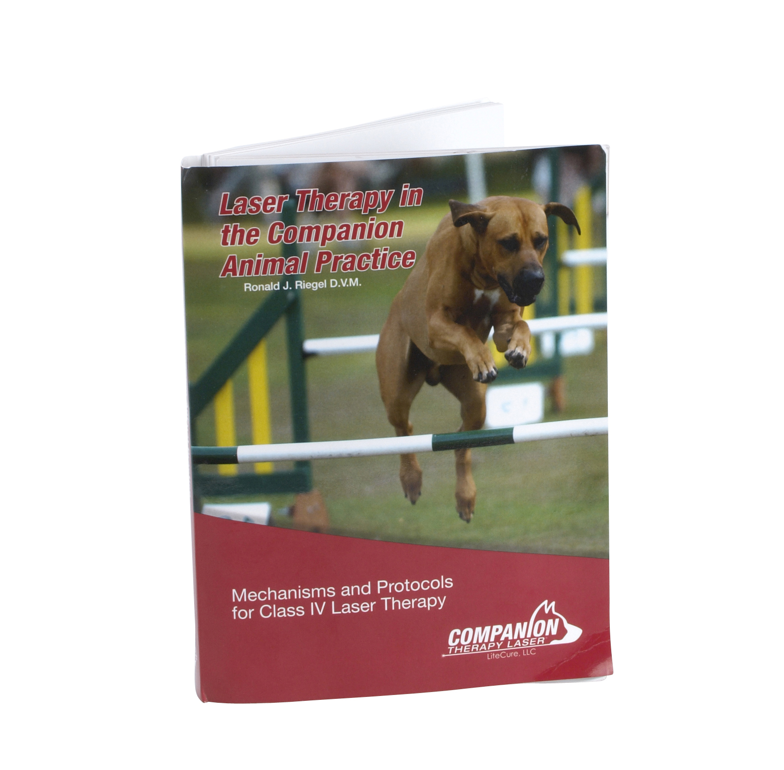 Laser Therapy in the Companion Animal Practice by Ron Riegel