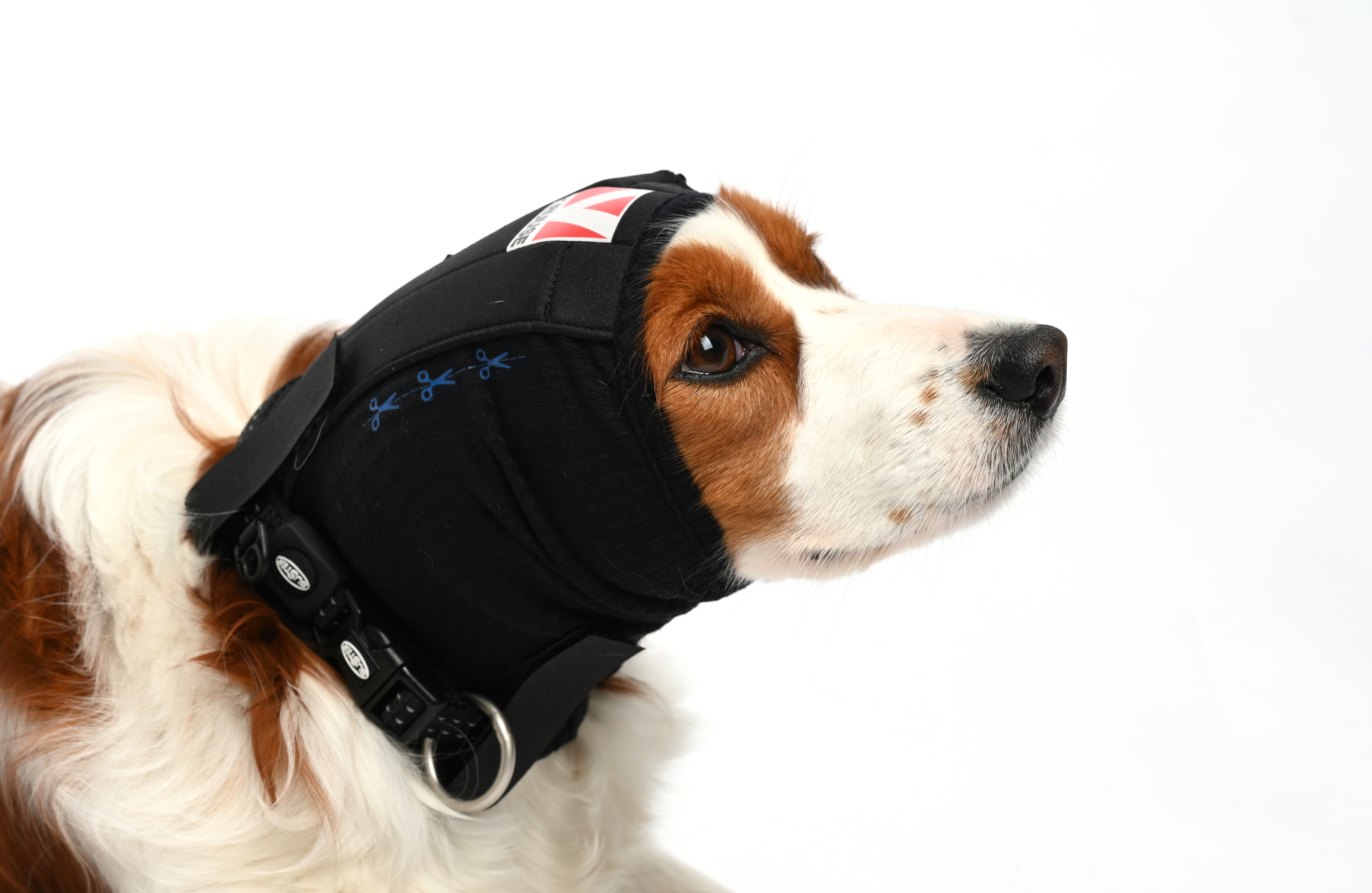 BUSTER Ear Cover, size 2 XL, 1/pk
