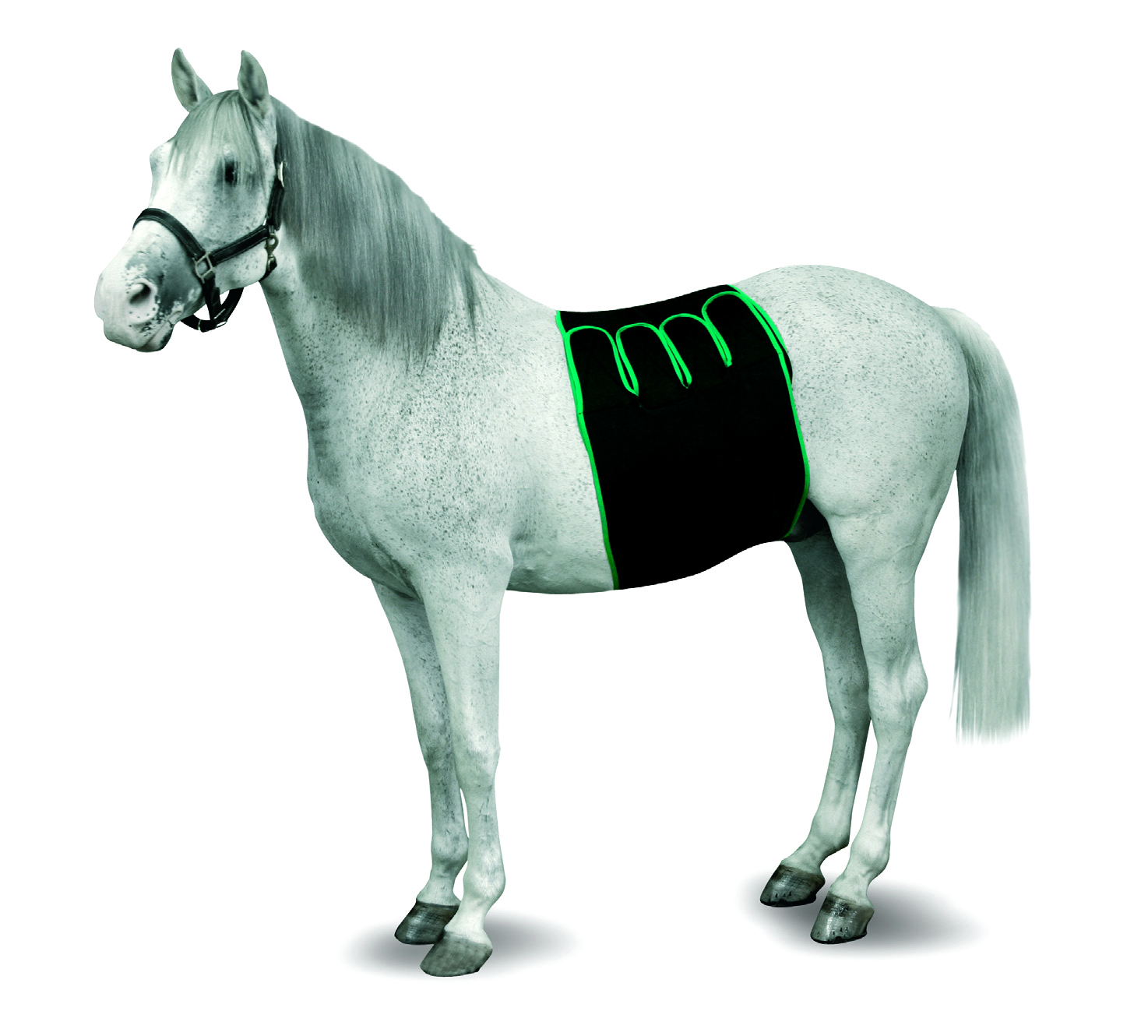 KRUUSE Foal Recovery Bandaging, L