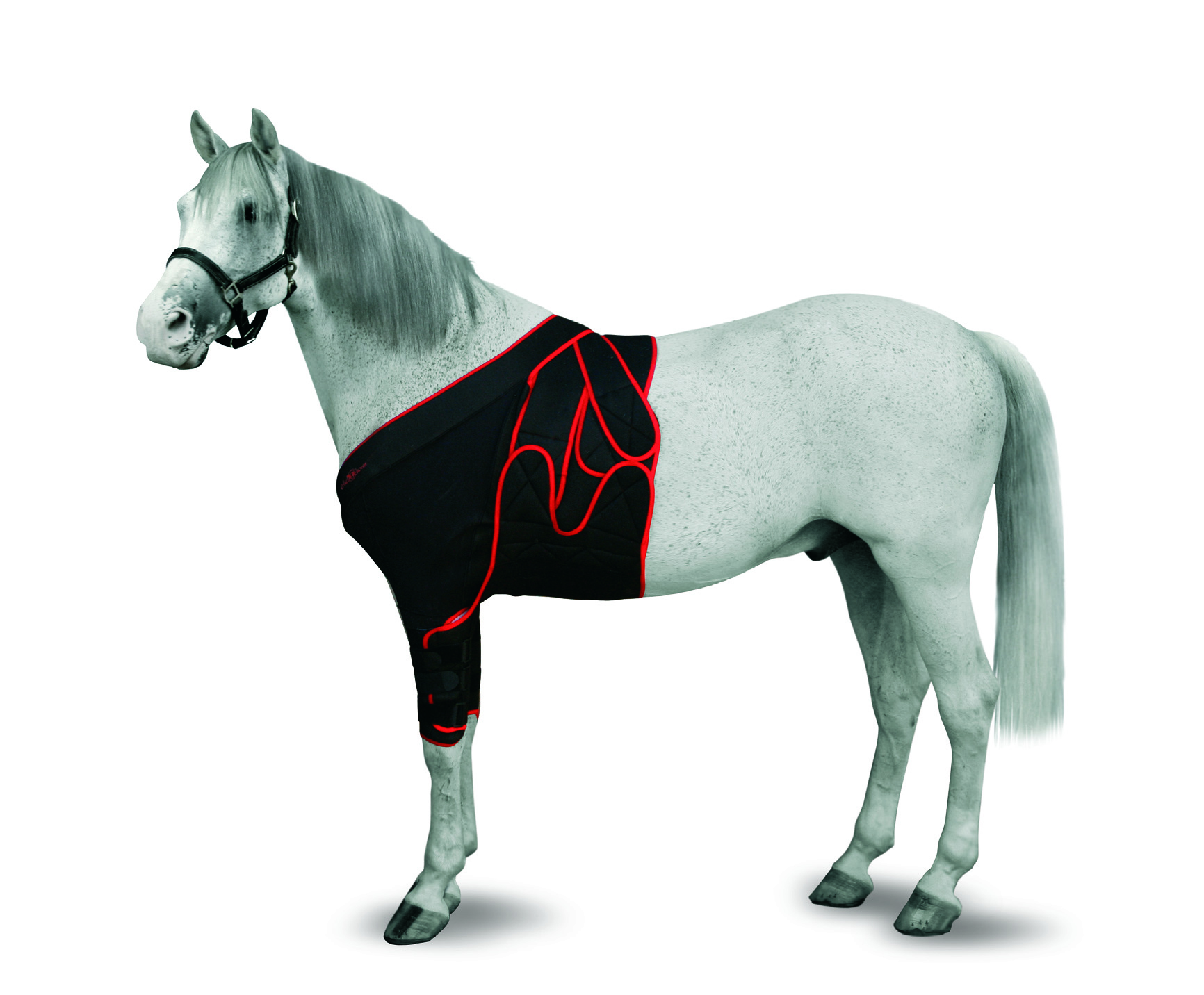 KRUUSE Foal Frontal Bandaging, M