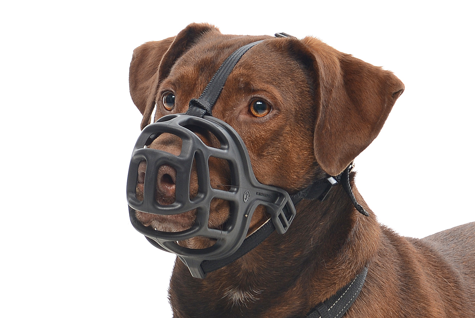 BUSTER Extreme dog muzzle, size 3