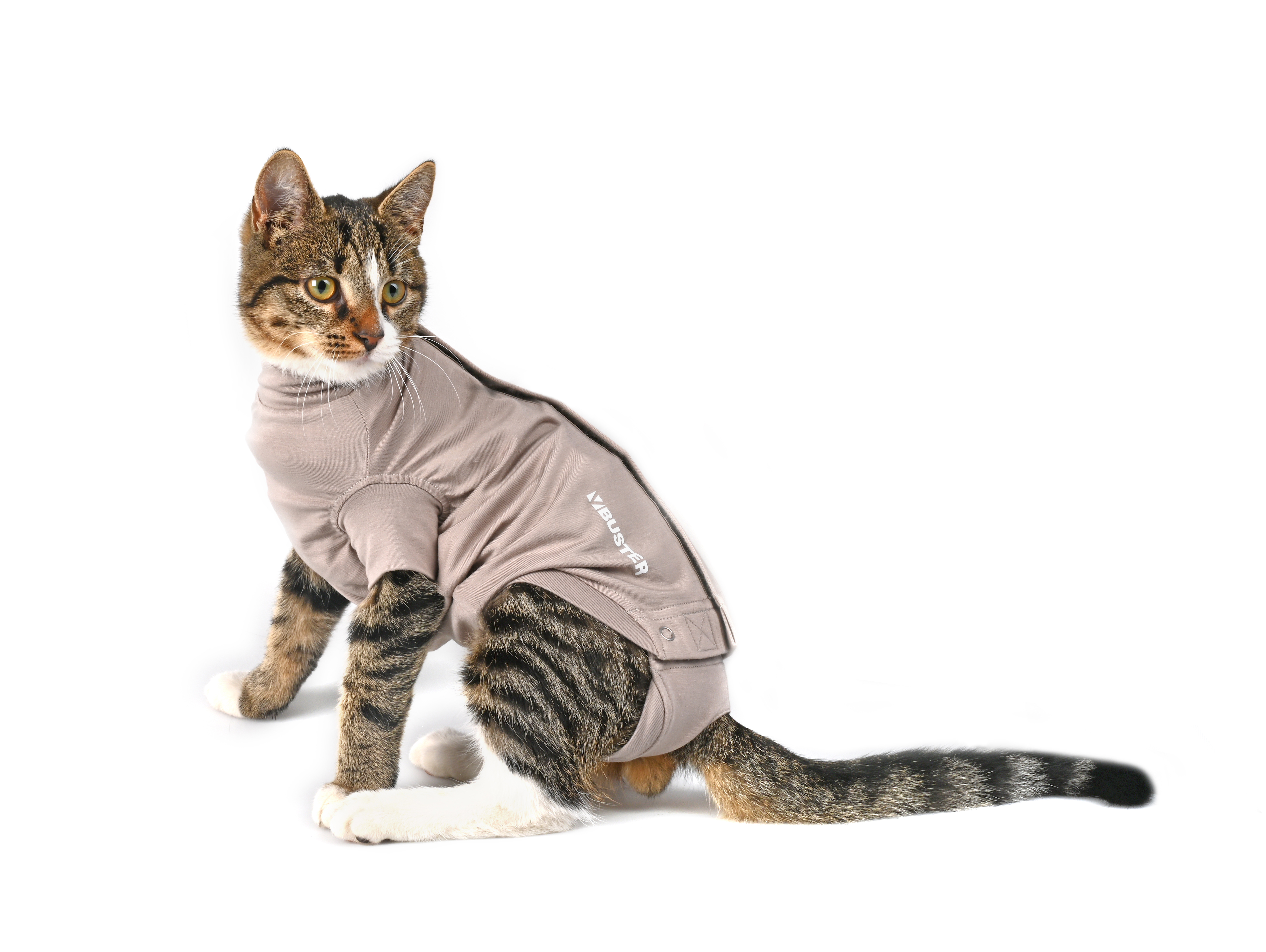 BUSTER Body Suit Step'n Go for cats, 3XS