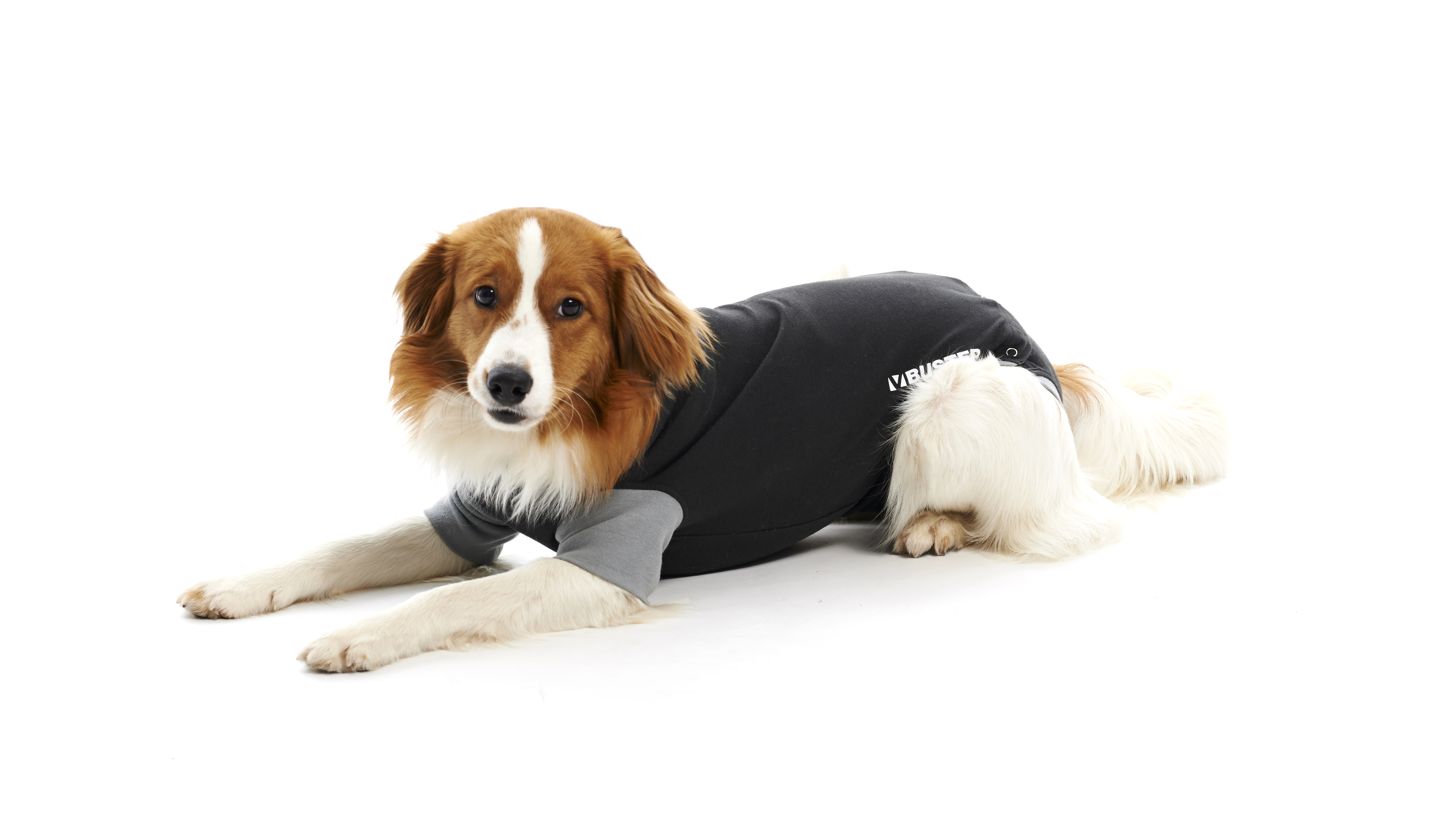 BUSTER Body Suit EasyGo for dogs, black/grey, 25 cm, size XXXS