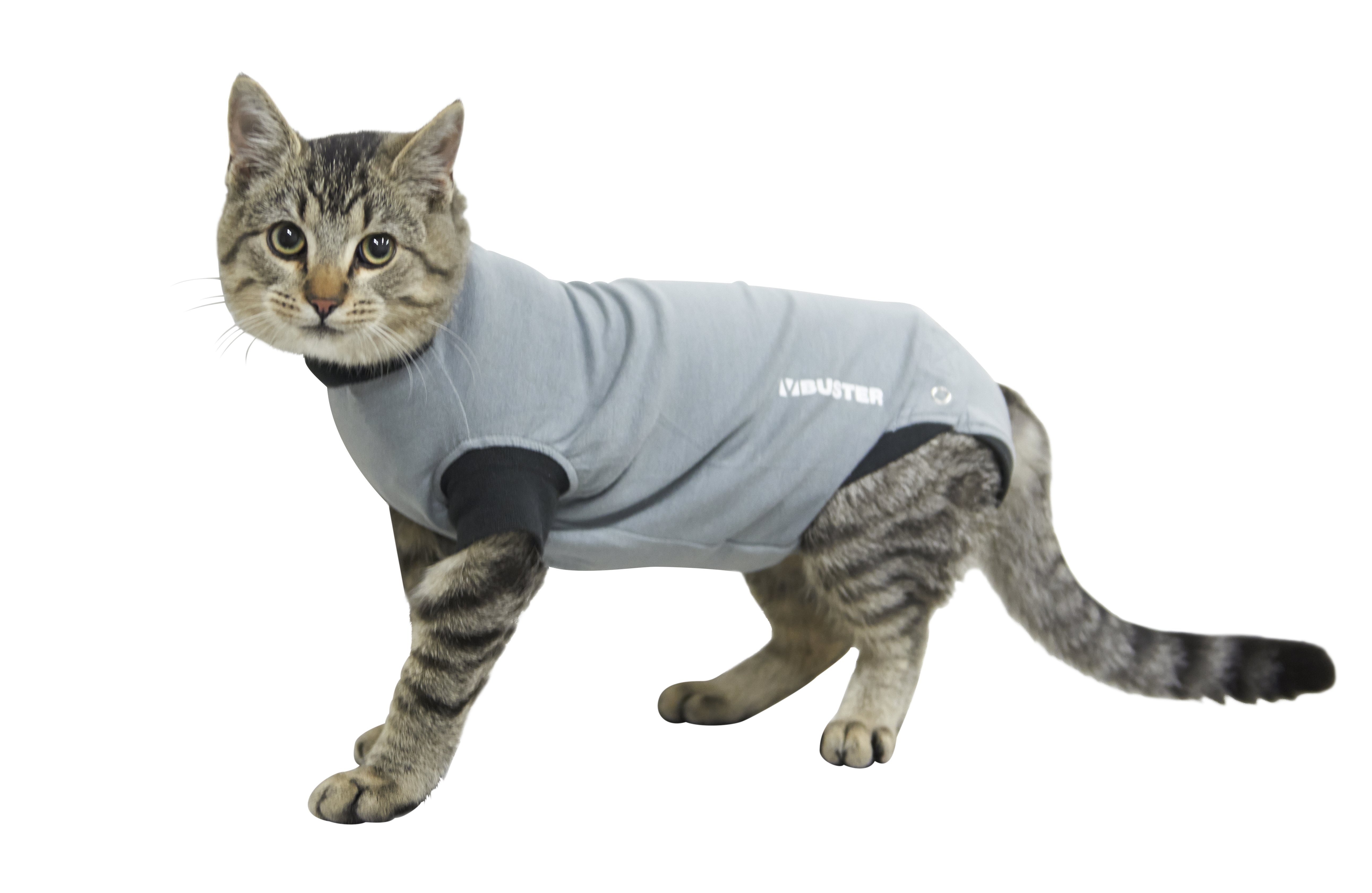 BUSTER Body Suit EasyGo for cats, grey/black, 38,5 cm, size XS