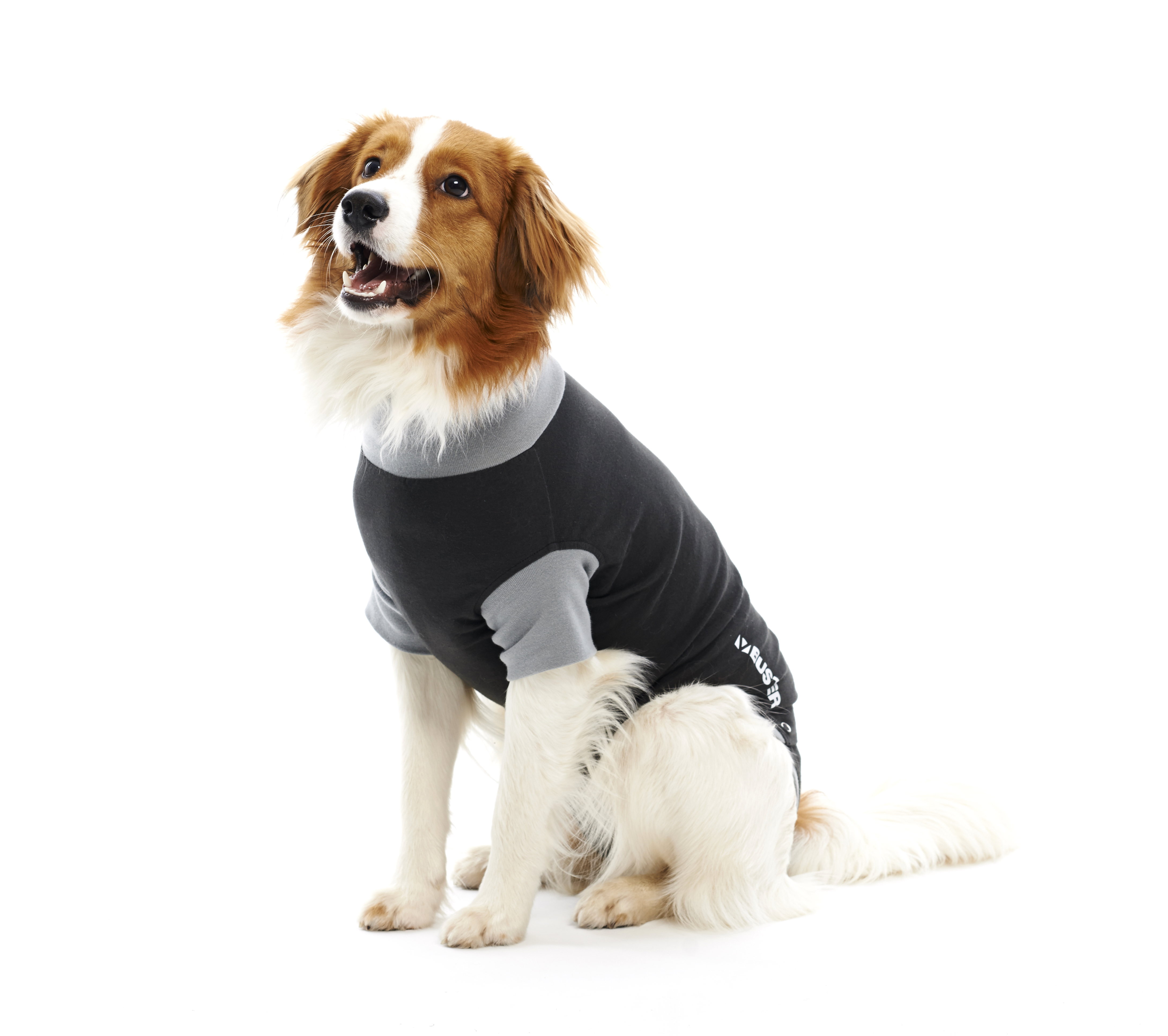 BUSTER Body Suit Classic for dogs, black/grey, 42 cm, str. S