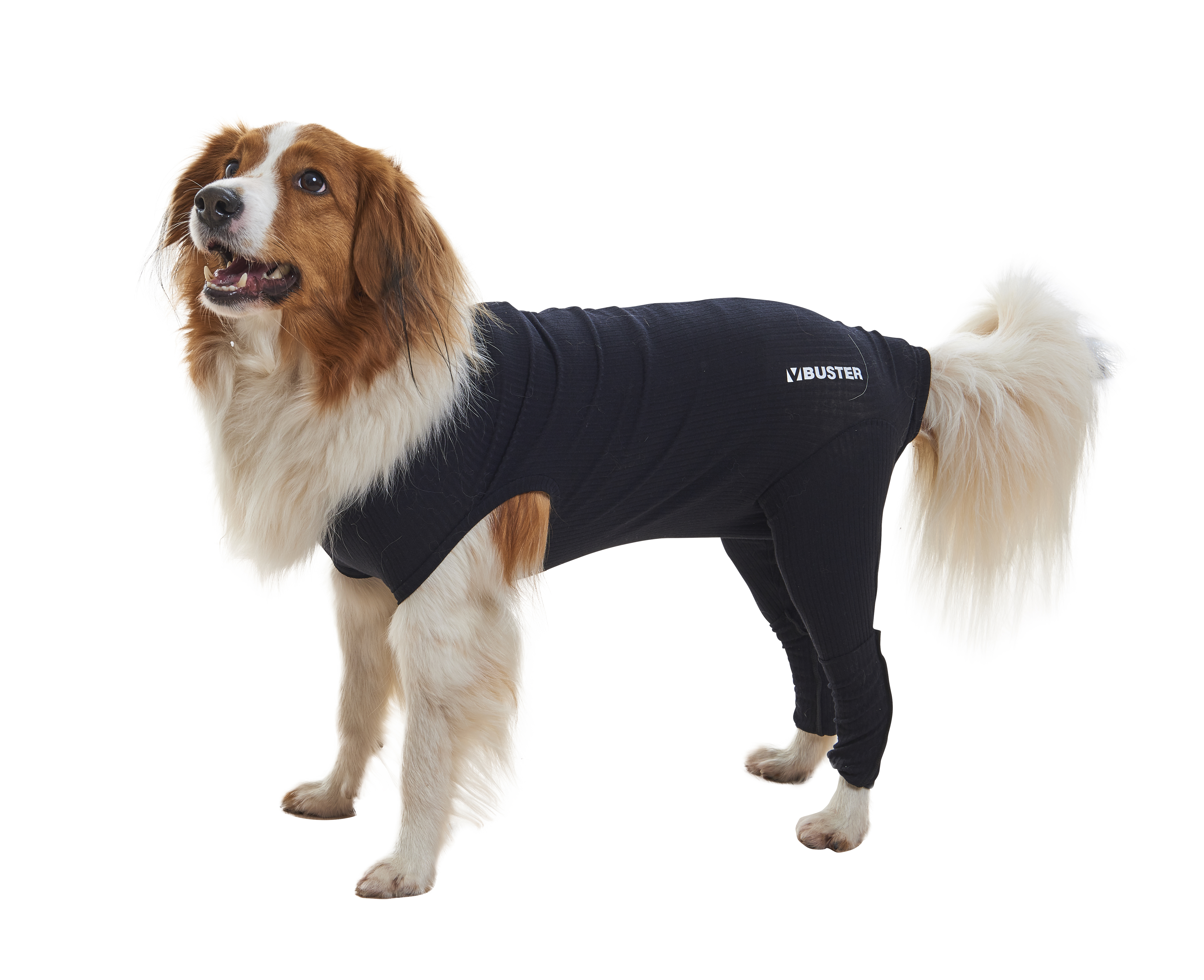 BUSTER Body Sleeves, hind legs, XXL