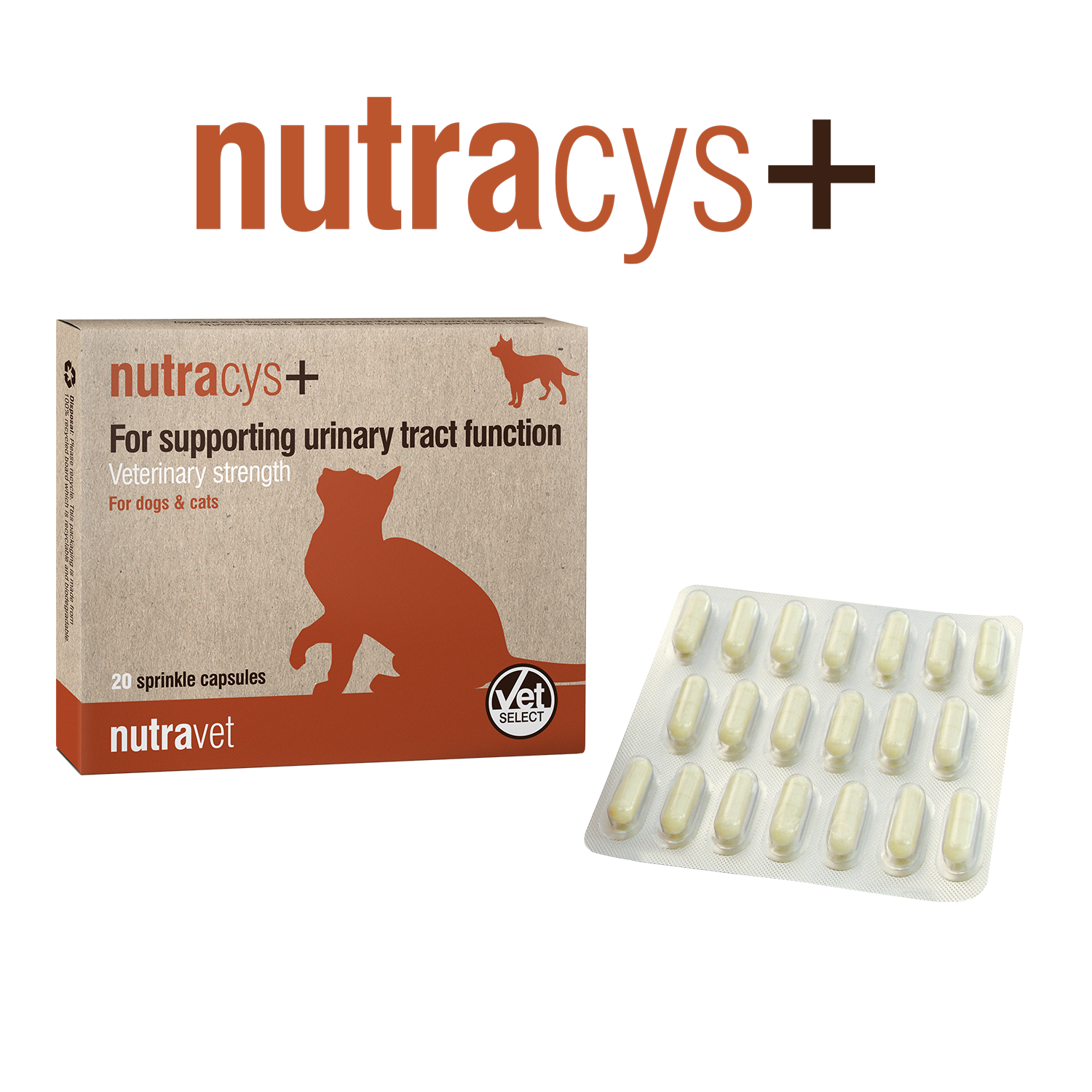 Nutracys+, 20 tabletter