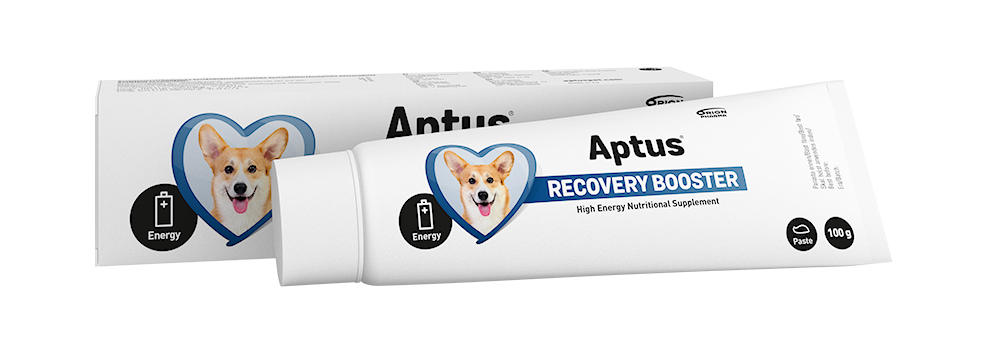 APTUS Recovery Booster t/hund, 100 g (Reconvalescent)
