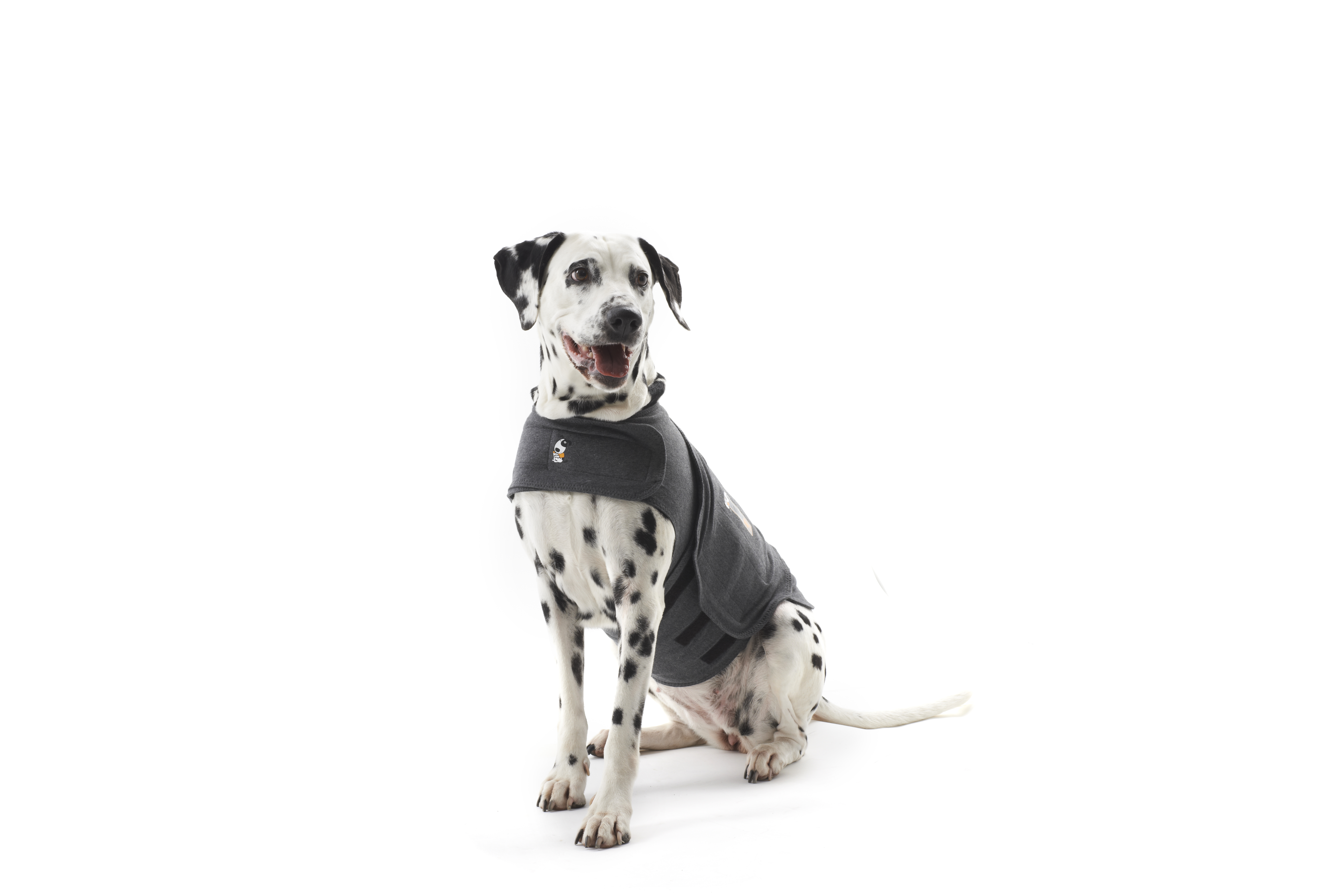 thundershirt m