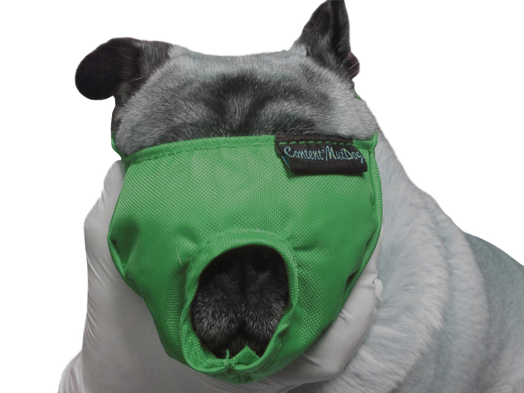 BUSTER Vet nylon muzzle for brachycephale dog, L