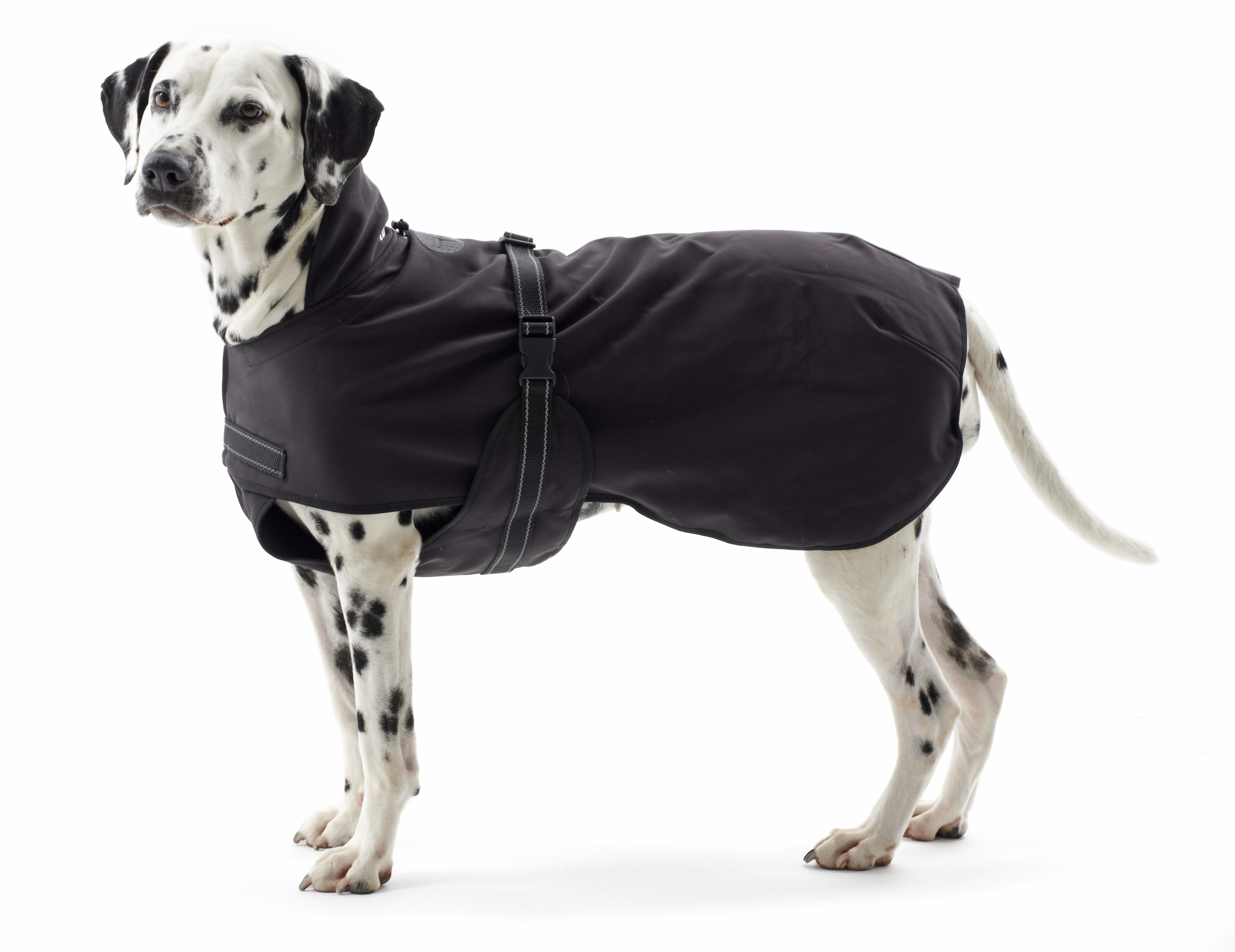 KRUUSE Rehab Dog Blanket Softshell 42 cm, for regular Dachshound