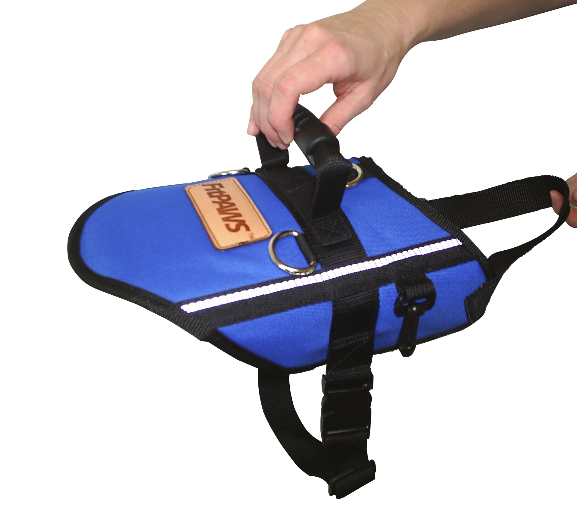 FitPAWS safety harness, XXXXS, Blue