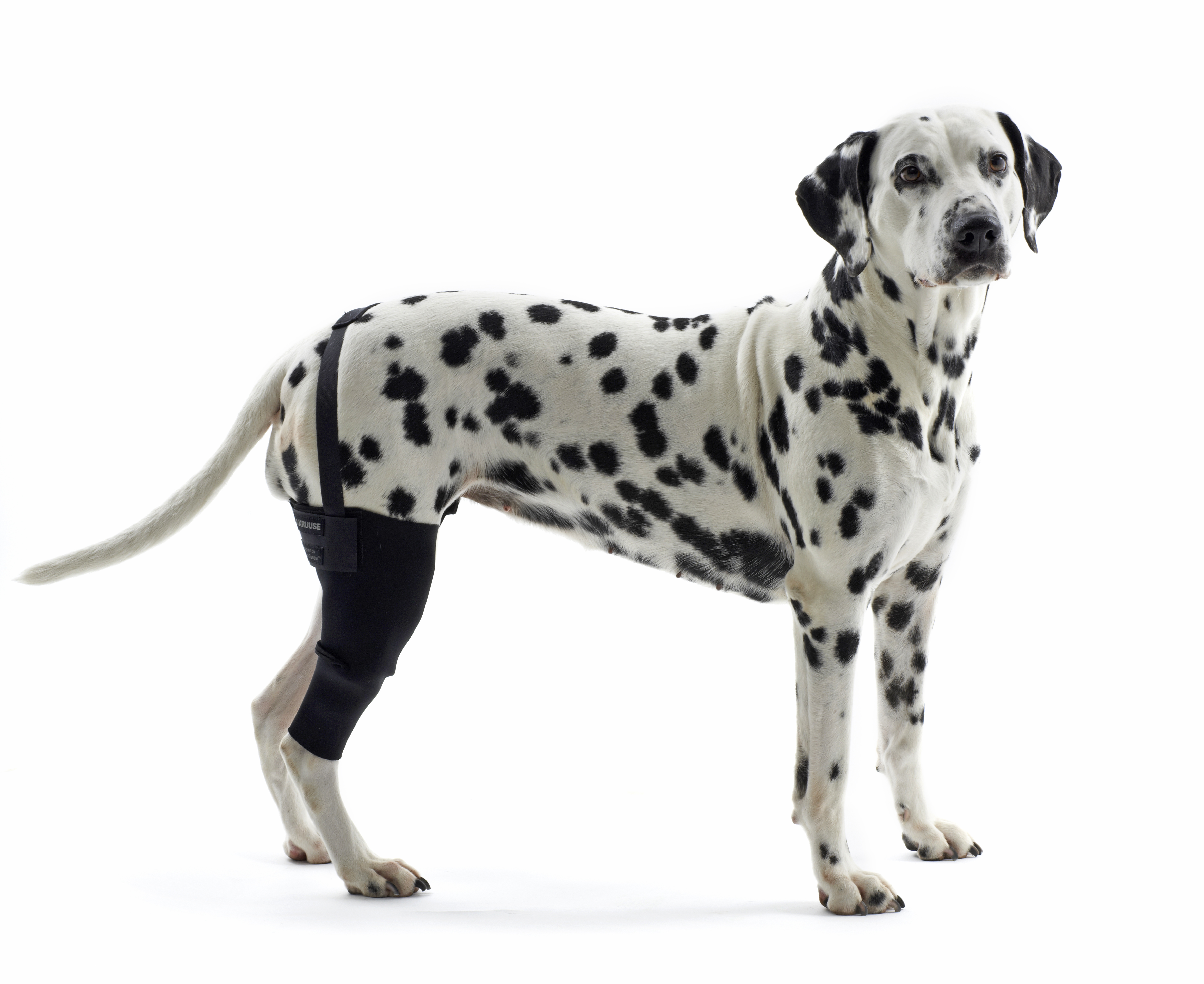 KRUUSE Rehab Knee Protector, XXS, left