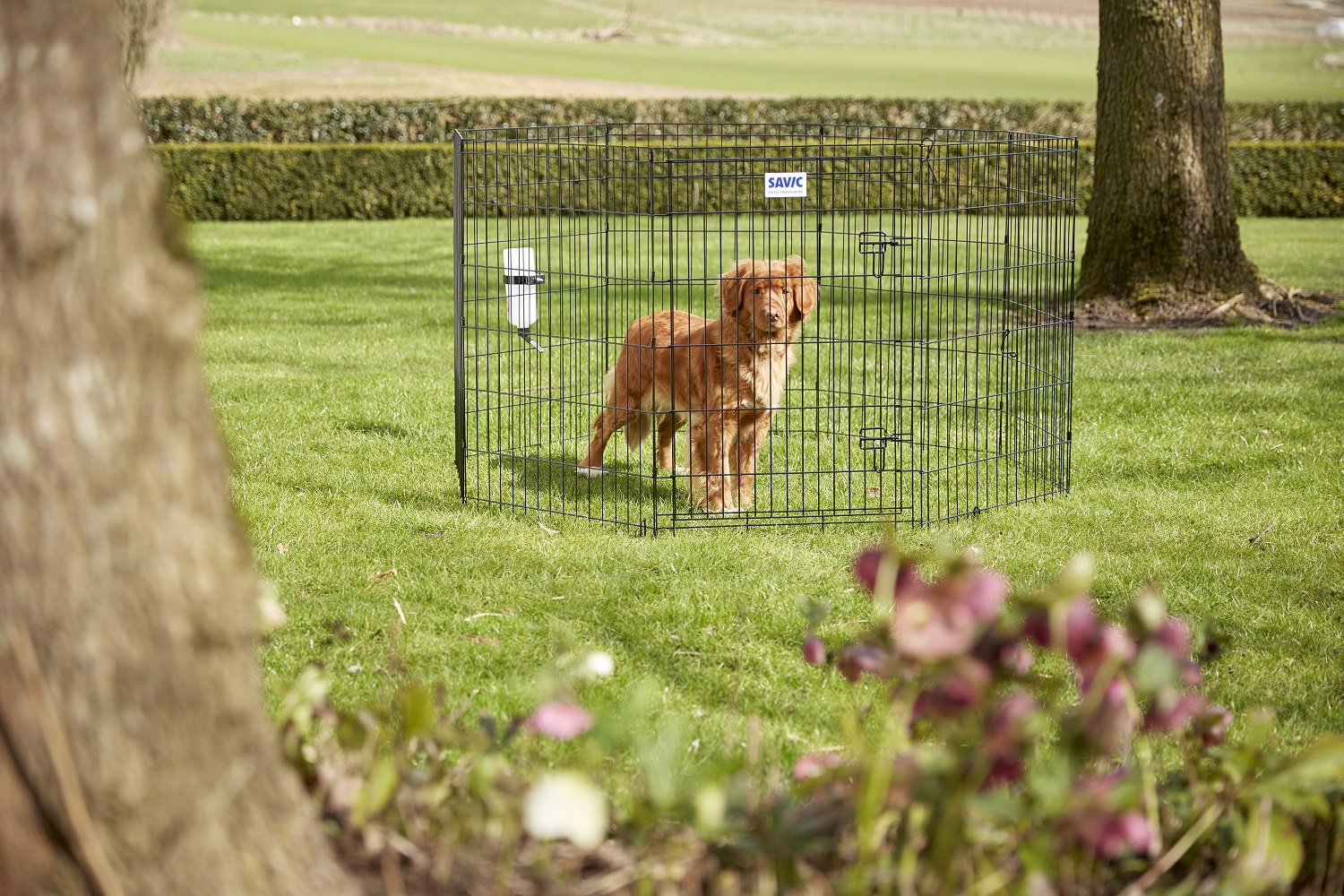 Savic Dog Park 2, black, 91 cm