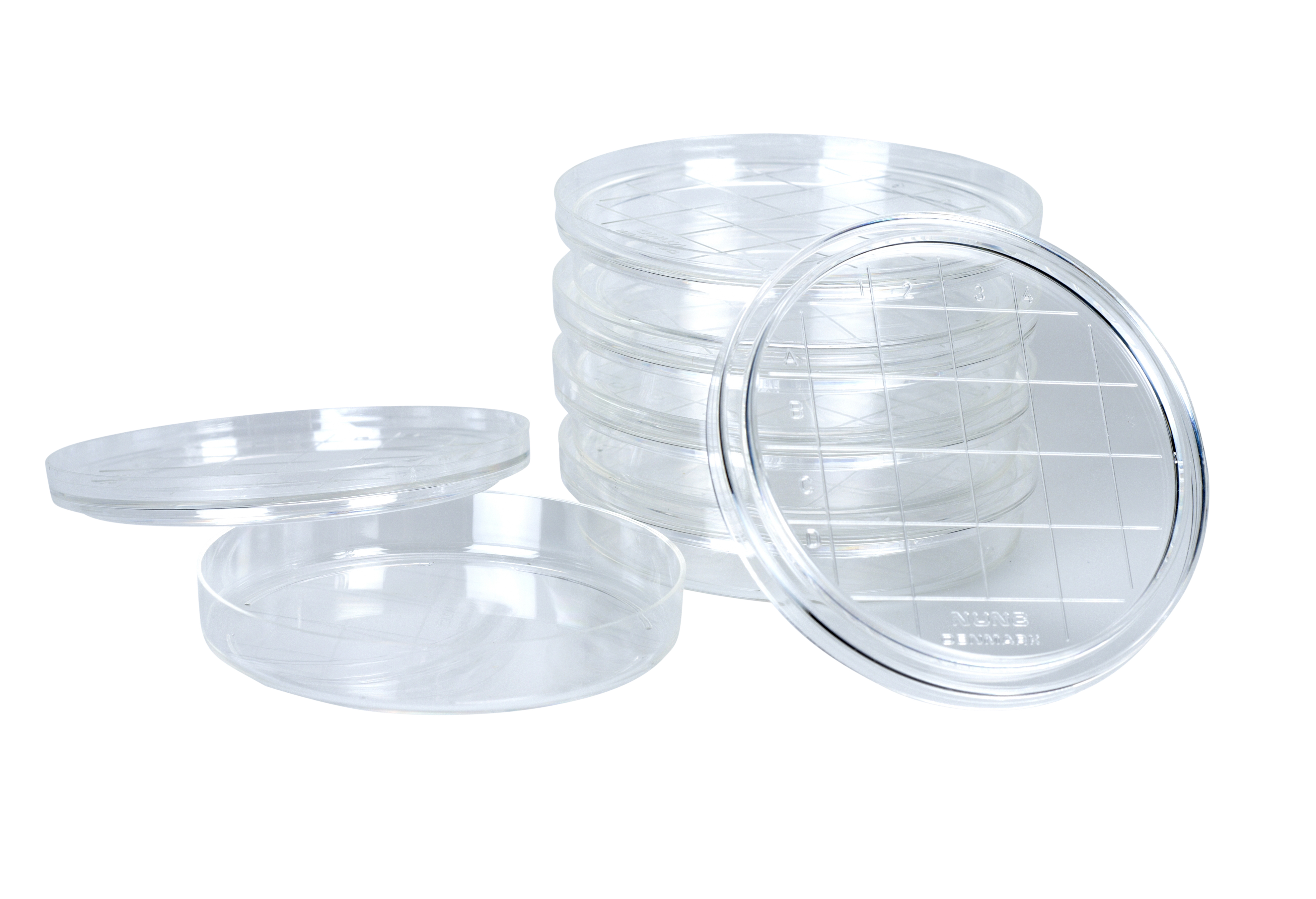 Petriskåler i plast 60 mm, 11 stk.