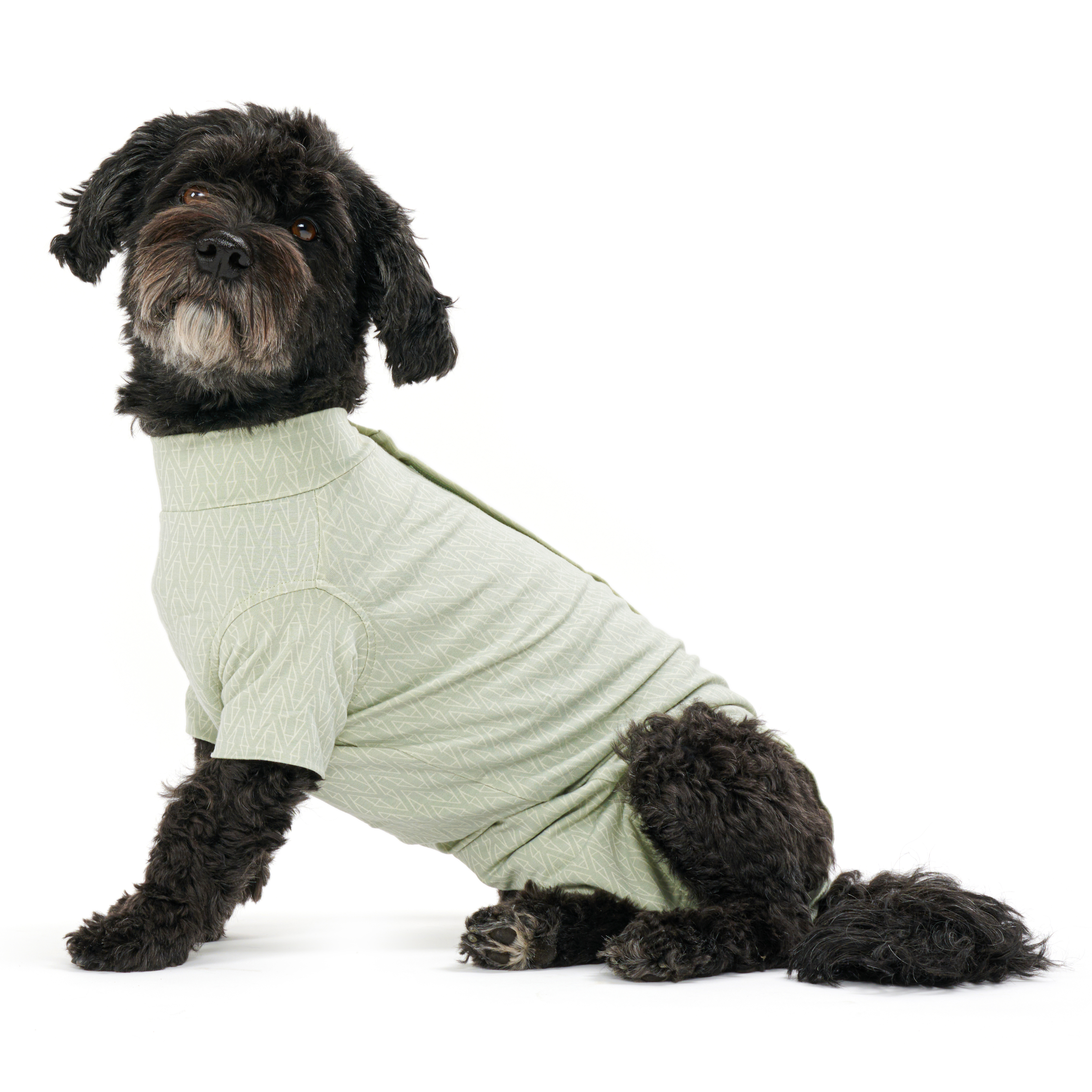 BUSTER Body Suit Step´n Go For Dogs, Dusty Green
