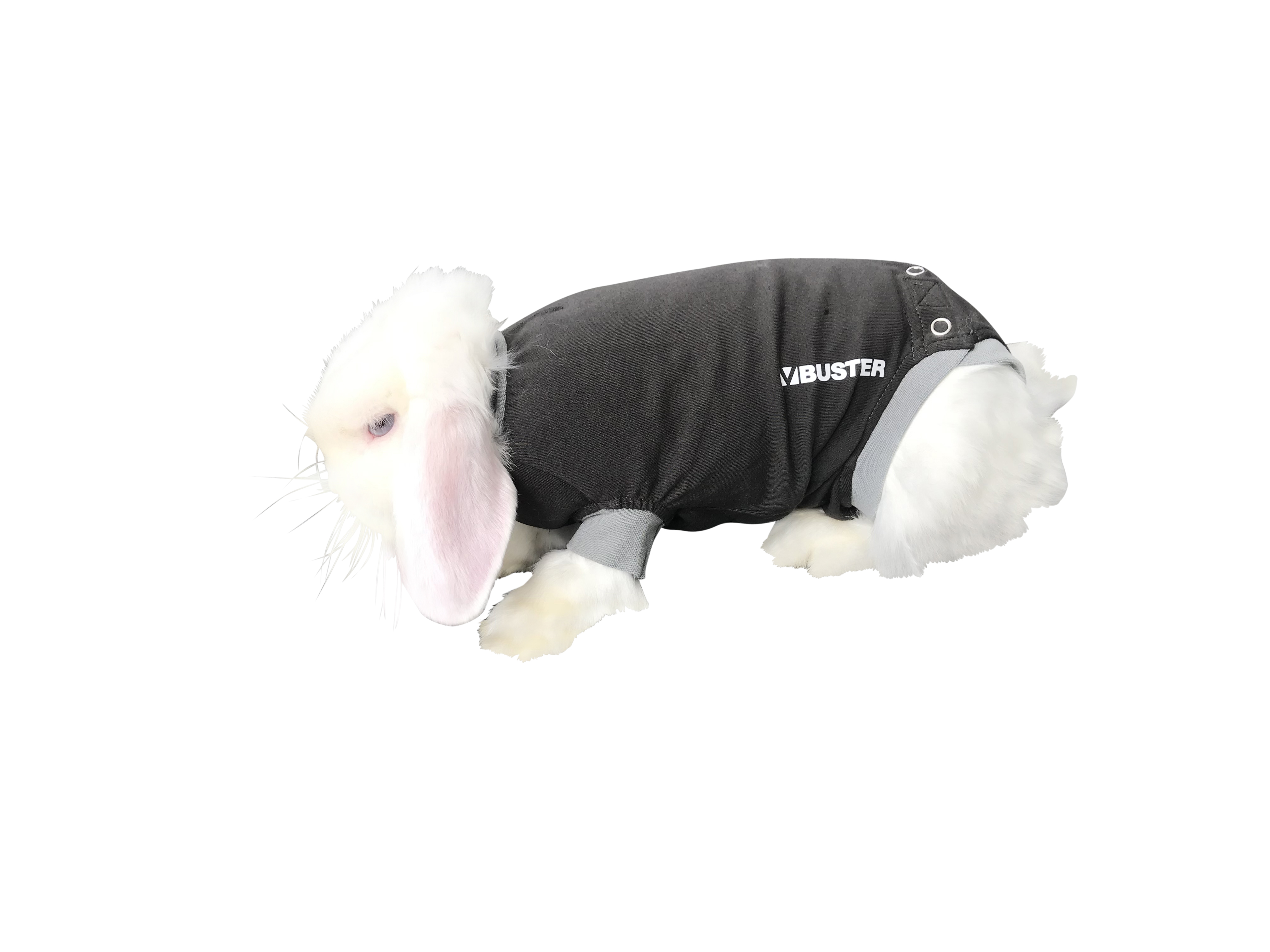 BUSTER Body Suit for Rabbits, black