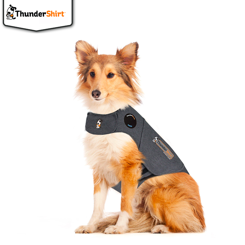 Thundershirt, grå