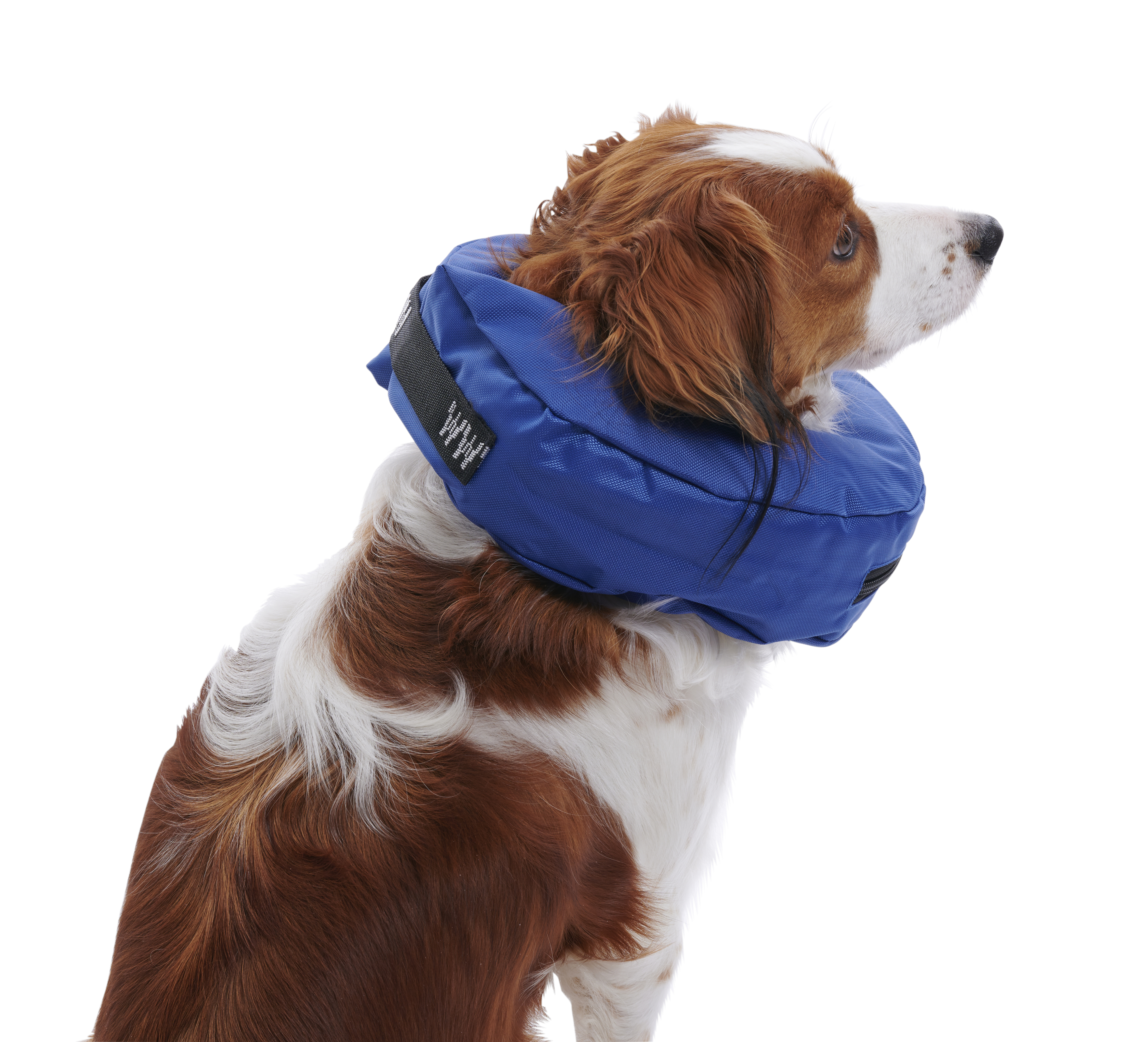 BUSTER inflatable collar blue