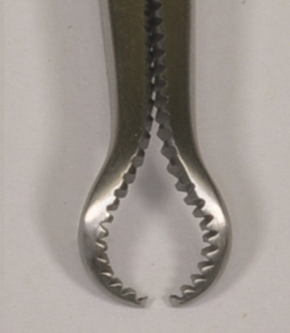 X Small Serrated Bone Holding Forceps 5 mm Grasp 140 mm [001218S]