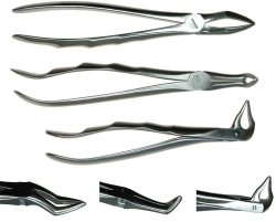 Root Fragment Forceps Set of 3 [012075]