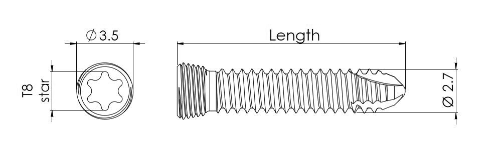 Locking 2.7 mm Screw (2.4 Head) Star Drive 22 mm [LS2724STAR22]