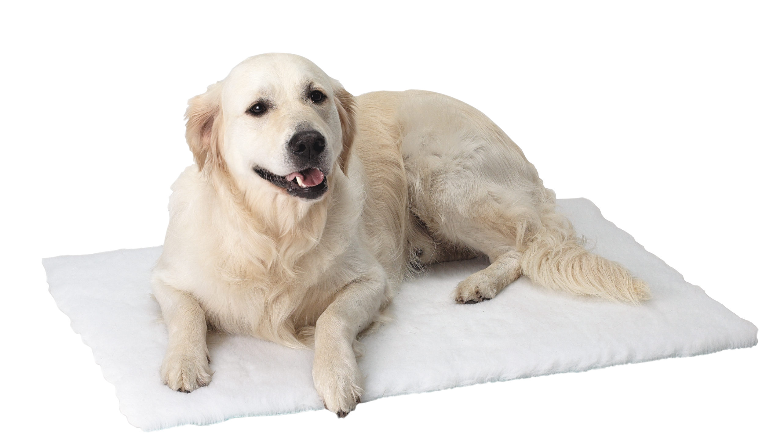 KRUUSE Vet Bed, grey, 100 x 75 cm