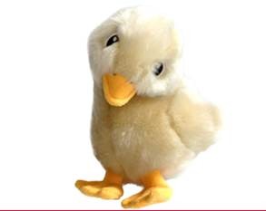 KONG Toughz Duck Md [TGZ22E]