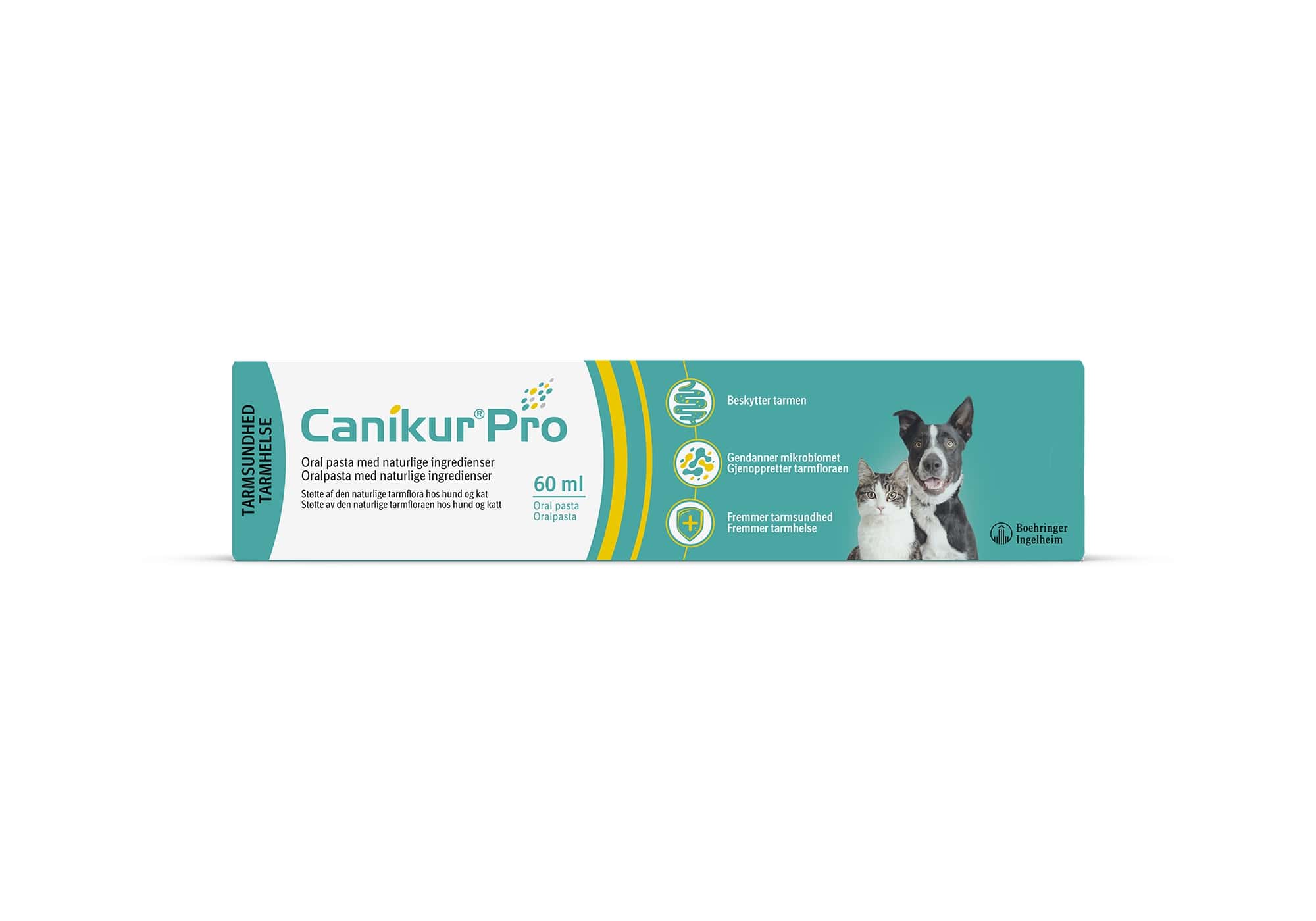 Canikur Pro, pasta