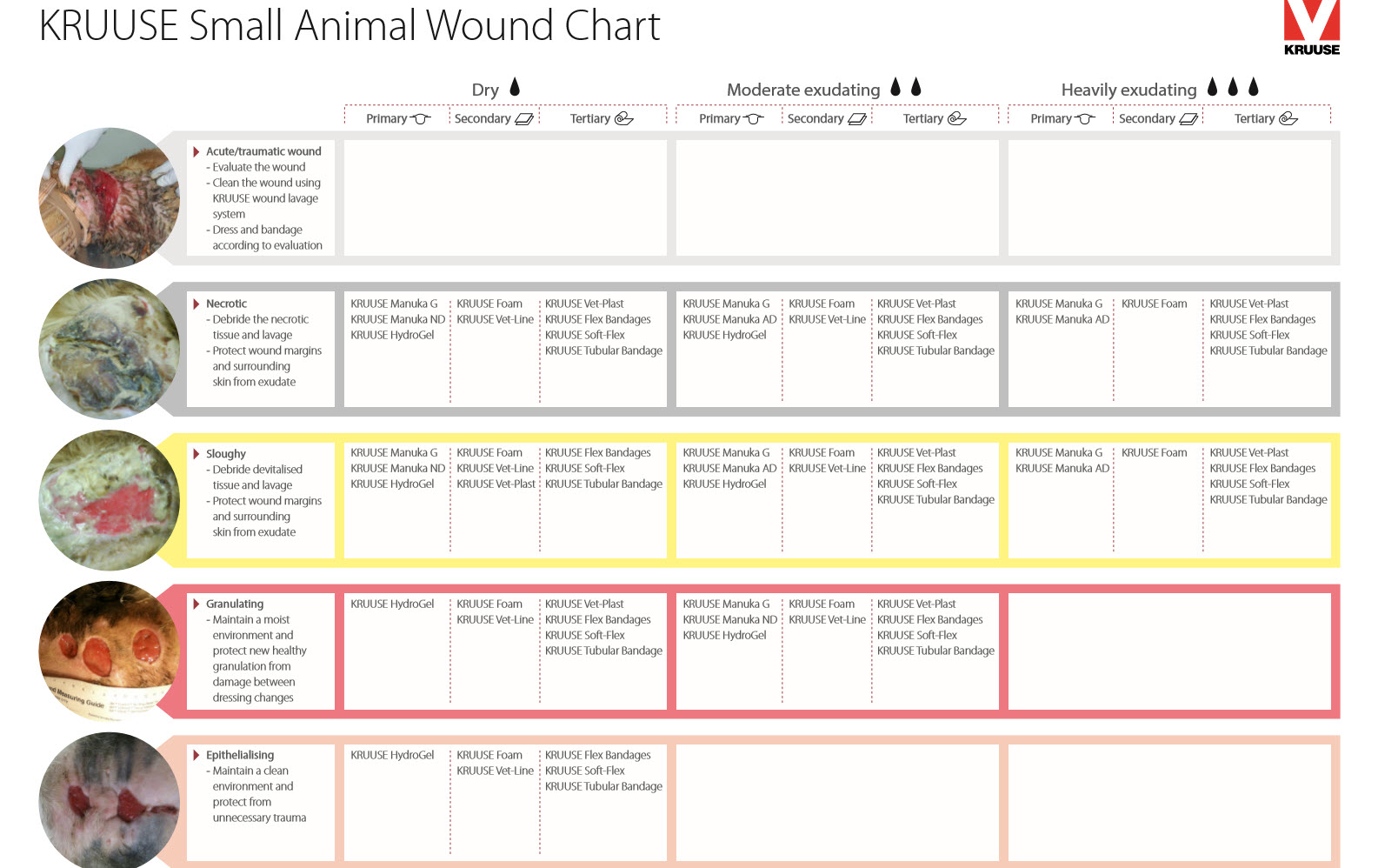 Wound Chart Small Animals GB