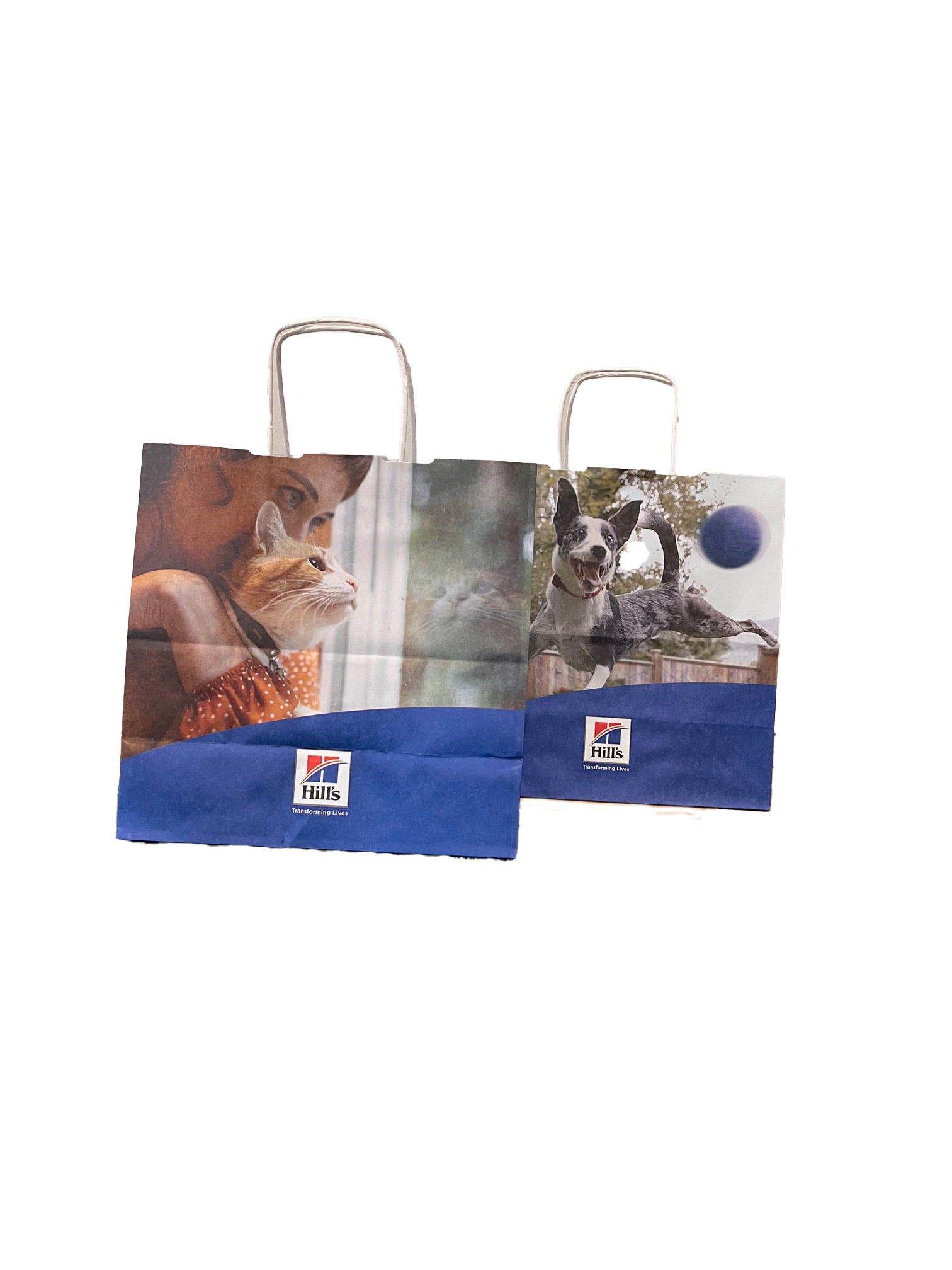 Hill's Carrier bag paper 30x30x15cm