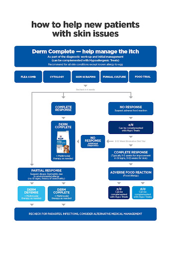 PD Fundamentals Derm Diagnostic Guide - 262267 DK