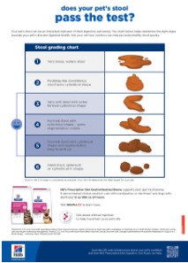 PD Fundamentals Digestive Stool Chart - 262290 DK