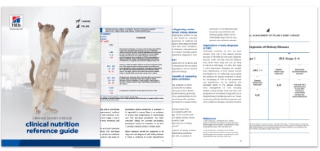 PD Fundamentals Renal CKD Guide - 262308 NO