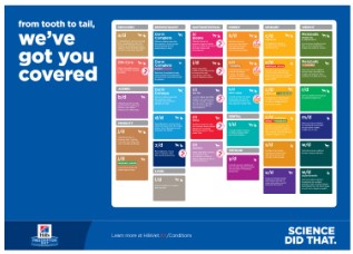 PD Fundamentals PD Counter Mat DK