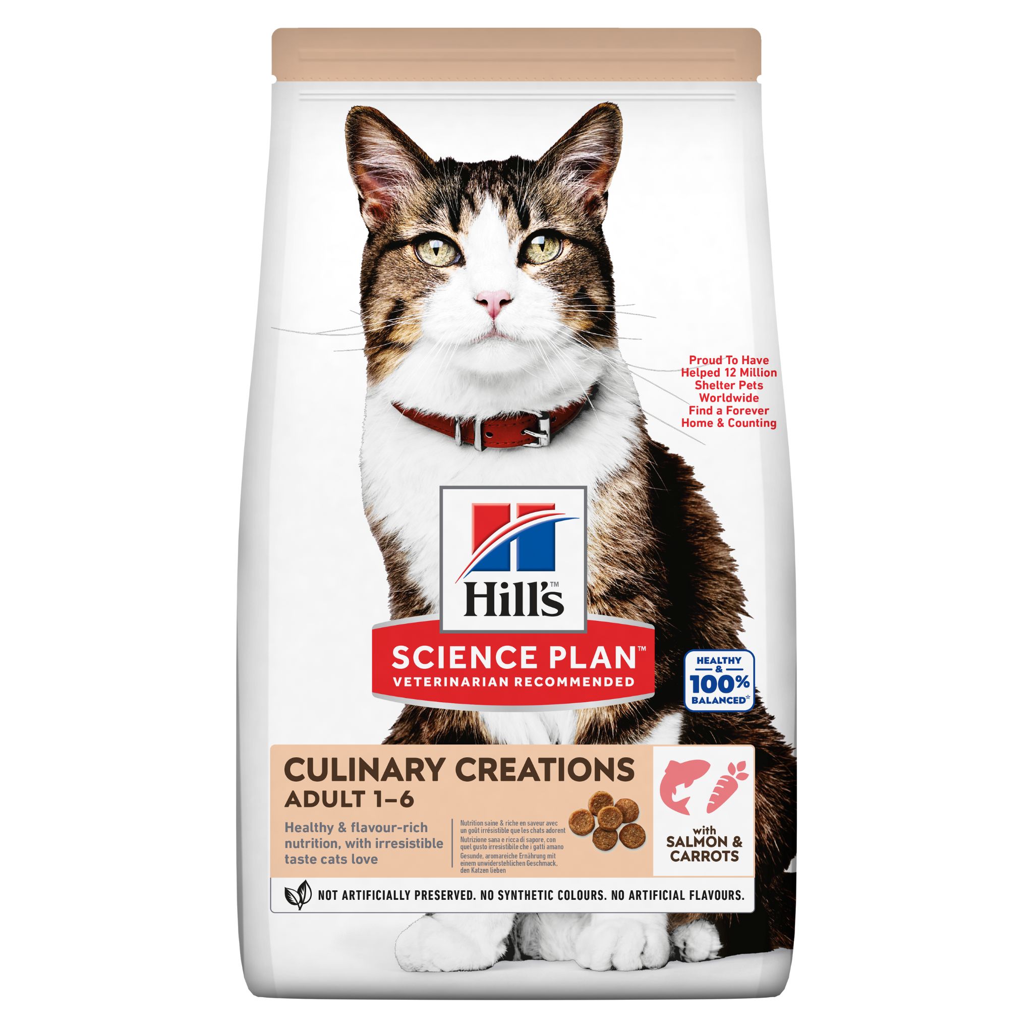 Hills cat food 10kg best sale